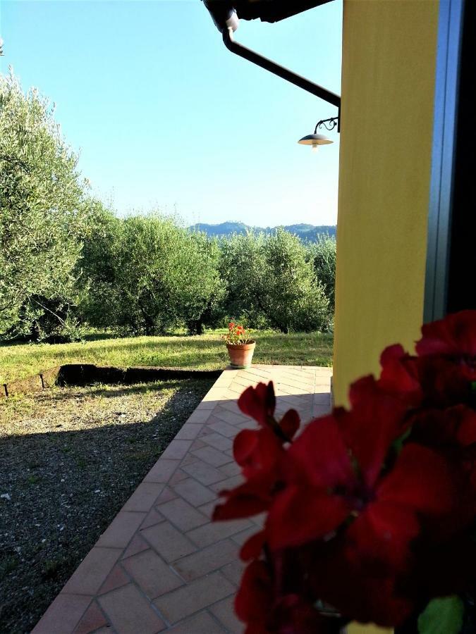 Villa In Campagna Costa Al Bagno Montopoli in Val dʼArno Exterior foto